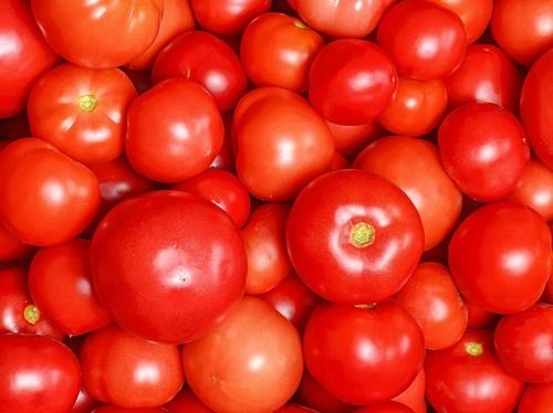 Pure And Natural Whole Raw Fresh Juicy Tomatoes