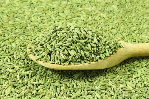 1 Year Shelf Life Fennel Seeds For Cooking And Spices Use