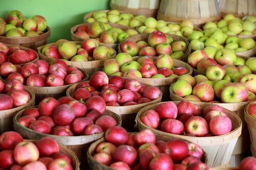 A Grade Organic Apple