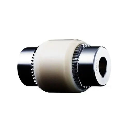 White Cylindrical Shape Ms/Ss Flexible Nylon Gear Coupling For Industrial