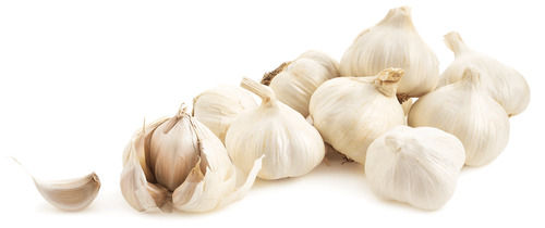 Different Available Garlic