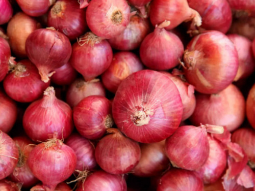 शुद्ध और प्राकृतिक A ग्रेड गोल ताजा और कच्चा साबुत प्याज नमी (%): 30%