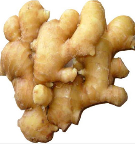 Pure And Natural A Grade Fresh And Raw Ginger