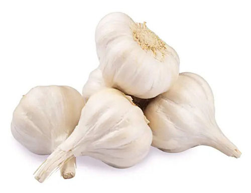 Pure And Natural A Grade Raw Fresh Garlic Moisture (%): 40%