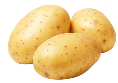 Pure And Natural Cylindrical Fresh Raw Whole Potato  Moisture (%): 60 %