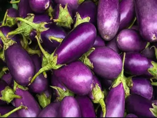 शुद्ध और प्राकृतिक A ग्रेड ताज़ा कच्चा बैंगन नमी (%): 10.25%
