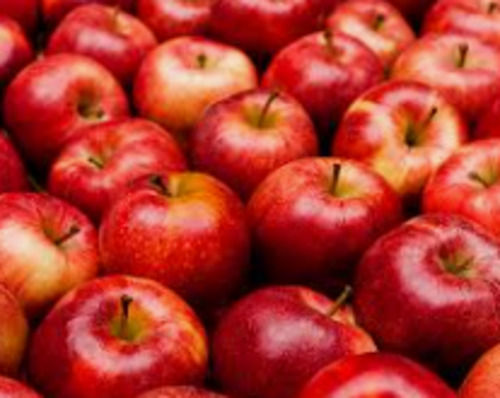1 Kilogram Rich In Taste Commonly Cultivated Round Apple Fruit
