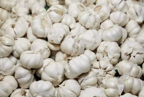 Good For Health Pesticide Free Whole Fresh Garlic