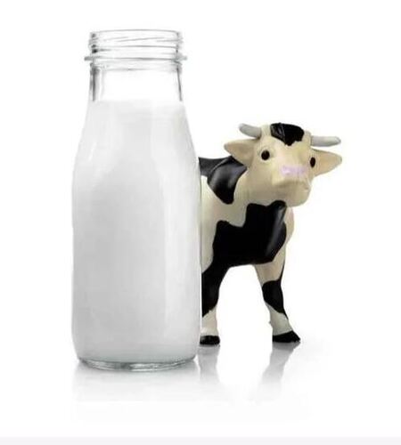  शुद्ध और स्वस्थ प्रोटीन से भरपूर कोई स्वाद नहीं जोड़ा गया कच्चा ताजा गाय का दूध