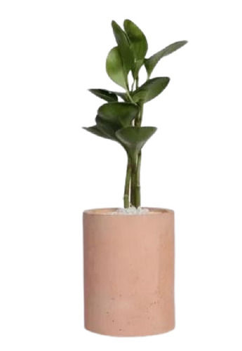 Decorative Planter