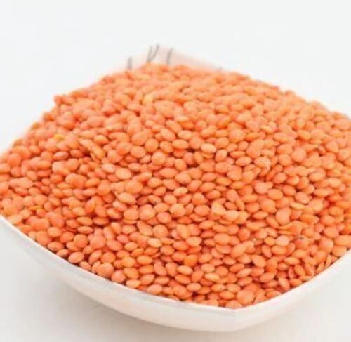 Pure And Common Cultivated Round A Grade Dried Masoor Dal
