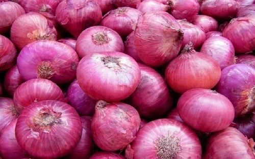 Pure And Natural Spherical Shaped Raw Fresh Onion
