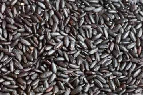 100% Pure Naturally Coomon Grown Dried Black Grains Crop Year: 6 Months