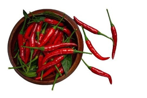 A Grade Spicy Flavor 100% Pure Fresh Raw Red Chilli