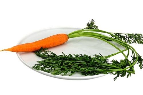 Farm Fresh Naturally Grown Healthy Vitamin Enriched Long Shape Fresh Carrot Moisture (%): 86 To 89%