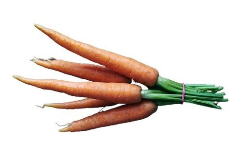 Indian Origin Commonly Cultivated Long Shape Healthy Farm Fresh Carrot Shelf Life: 3 Days