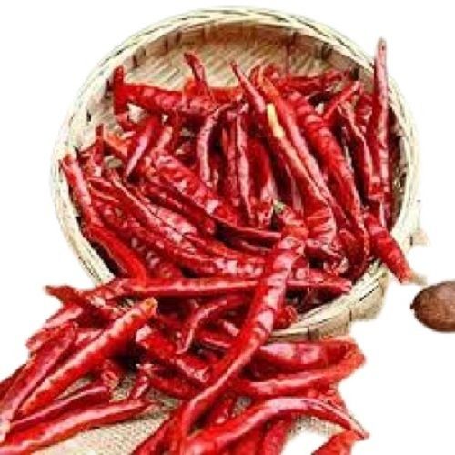 A Grade Naturally Grown Spicy Whole Dry Chilli