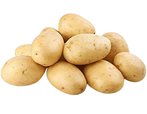 A Grade Pure And Fresh Raw Whole Potato