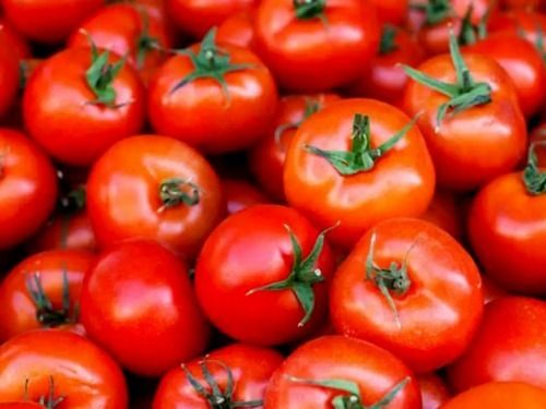 A Grade Pure And Fresh Round Raw Red Tomato