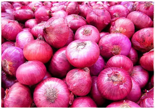 A Grade Pure And Fresh Spherical Shape Raw Onion