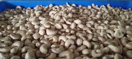 Cashew nuts 