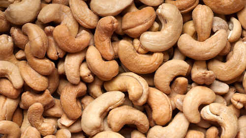 Dried Roasted Cashew Nuts High In Protein And Carbohydrate 