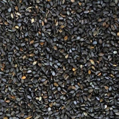 Natural Black Sesame Seeds For Oil, Packaging Size 25- 30 Kg