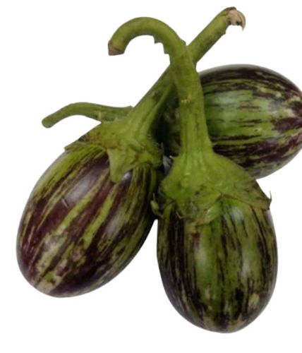 Pure And Fresh A Grade Round Raw Whole Brinjal 