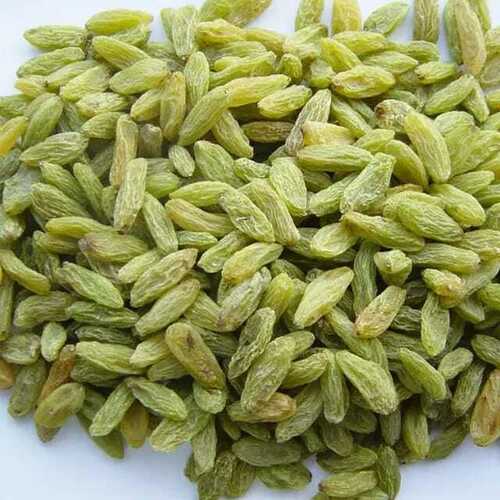 Dried Indian Green Raisins, 10-50 Kg Bag Packaging