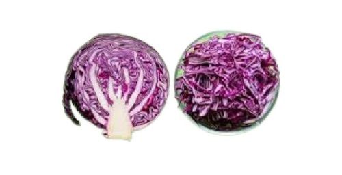 Farm Fresh Round Shaped Naturally Grown Nutrient Rich Fresh Red Cabbage