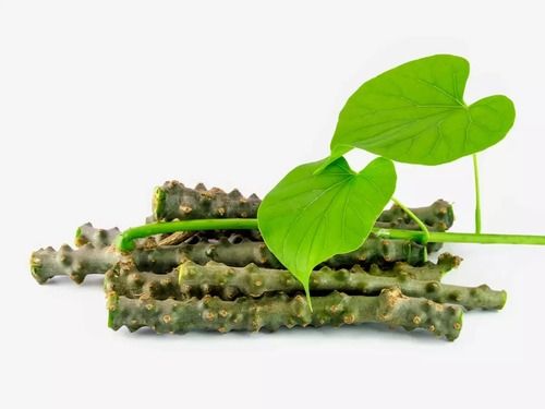 Healthy Protein Rich Energy Boasting Natural Tinospora Cordifolia