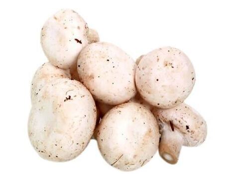 Highly Nutrient Enriched Pure Soft Fresh Canned Mushrooms  Shelf Life: 2 Days