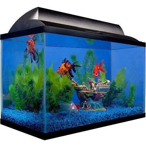 Rectangular Shape Electric Fish Aquarium For Home And Hotel