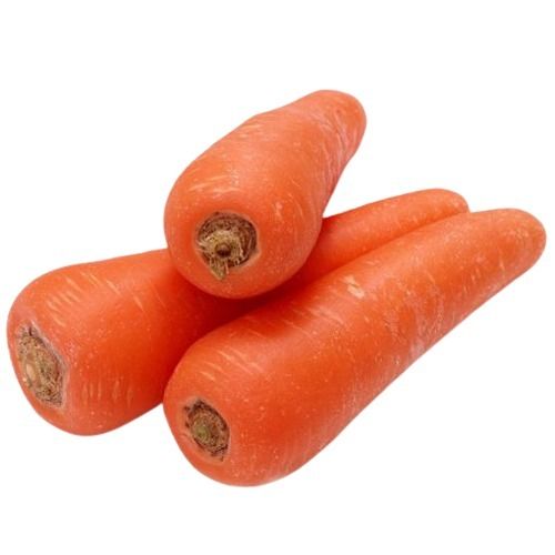 Long Shape Healthy Naturally Grown Fresh Carrot