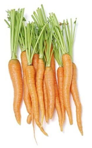 Rich In Taste Commonly Cultivated Whole Fresh Carrot Moisture (%): 5%