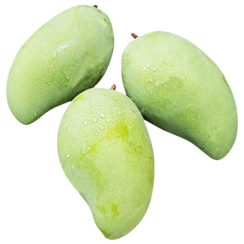 Commonly Cultivated Fresh And Pure Sweet And Sour Raw Whole Green Mangoes