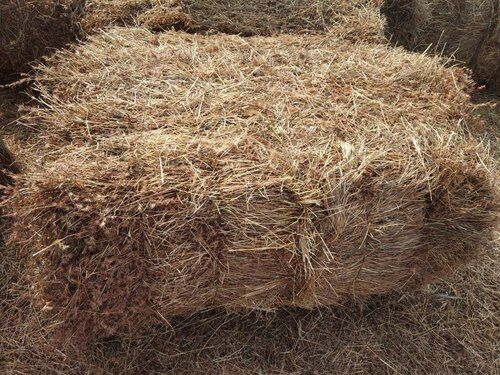 Dry Mountain Grass (Hay) For Fertilizers