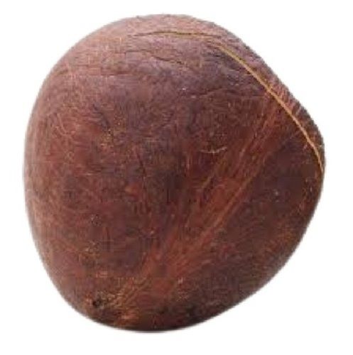 Full Husked Round Shape Common Cultivated Dry Coconut