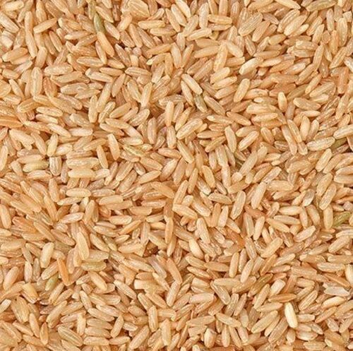Commonly Cultivated Pure And Dried A Grade Short Grain Brown Rice