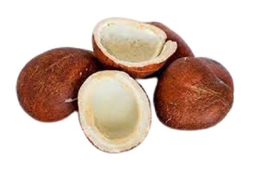 Semi Husked Round Shape Medium Size Common Cultivated Dried Coconut  Power Source: Electricity