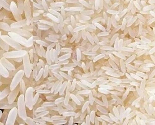  आमतौर पर उगाया जाने वाला शुद्ध और प्राकृतिक कच्चा साबुत चावल का दाना 