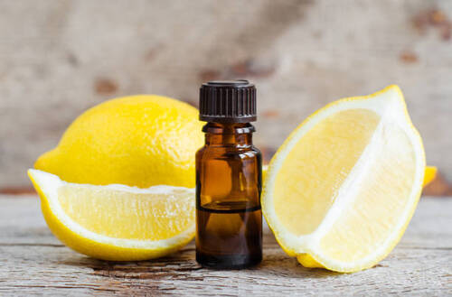 100% Pure And Organic Citrus Bergamia Lemon Essential Oil For Cosmetic