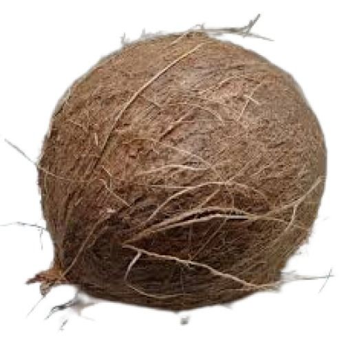 Common Cultivated Fresh Naturally Grown Round Shape Matured Semi Husked Coconut Copra 
