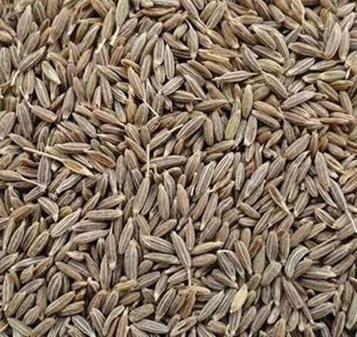 1 Year Shelf Life Rich In Taste Organic Cumin Seed