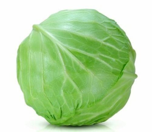 A Grade Pure And Natural Round Raw Fresh Cabbage With 1 Week Shelf Life Moisture (%): 60%