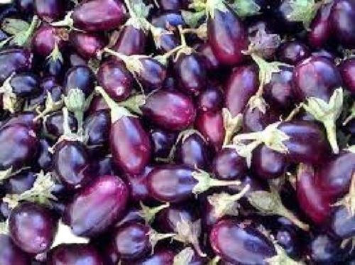 100% Healthy And Natural Oval Shape Raw Fresh Brinjal
