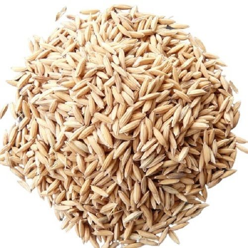 100% Pure And Naturally Grown Dried Long Grain Paddy Rice