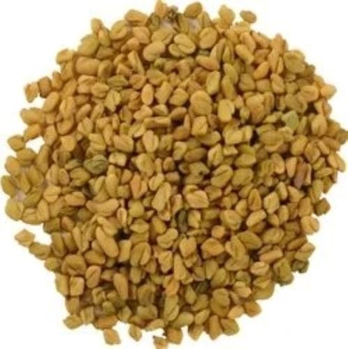 6.92% Moisture Content Edible Hybrid Dried Organic Fenugreek Spices Seeds