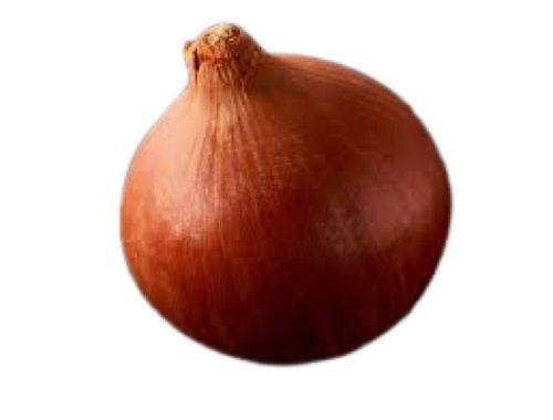 Farm Fresh Round Shape Brown Onion