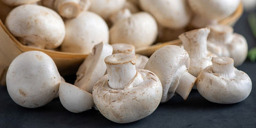 No Preservatives Fresh And Organic Button Mushroom For Cooking